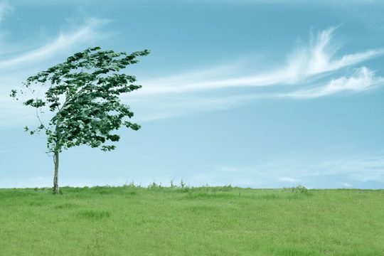aeras